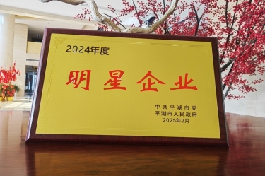 新春新景新氣象 | 景興紙業(yè)在平湖三干大會上喜摘榮譽(yù)！